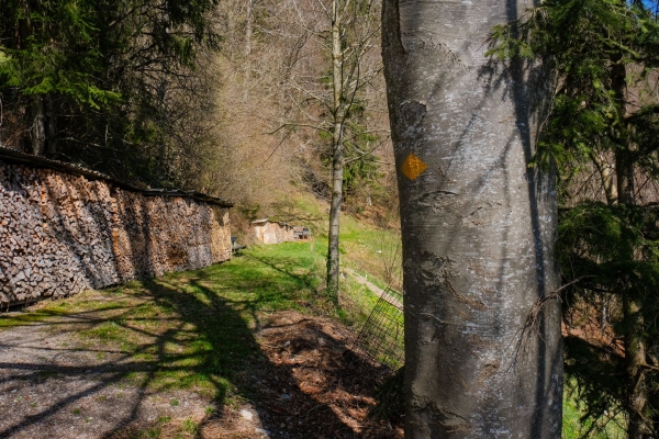 À la découverte du patrimoine bâti local du Bas-Simmental