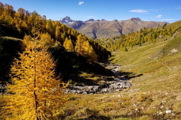 Der goldene Herbst von Zuoz