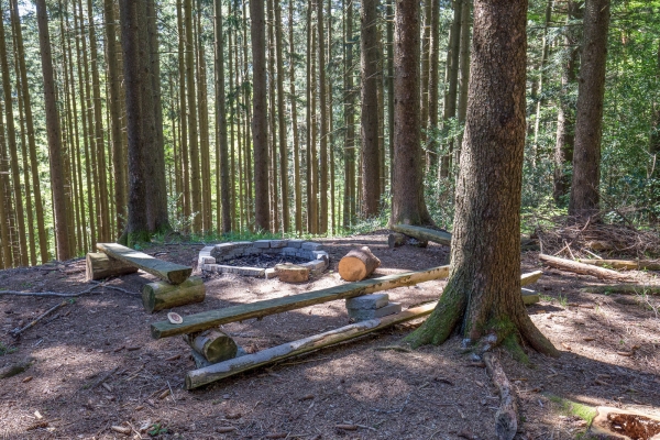 Du Vorderland appenzellois à la vallée du Rhin