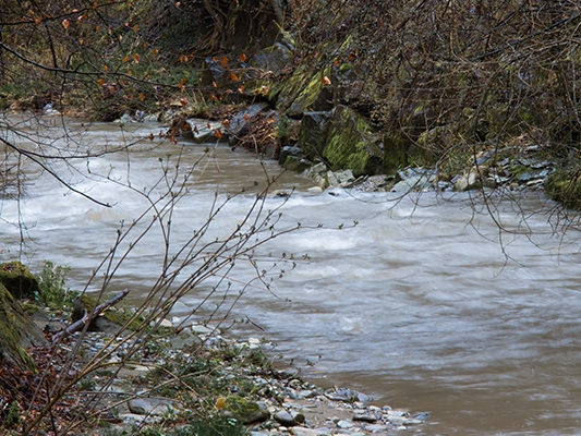 Wilder Galterengraben