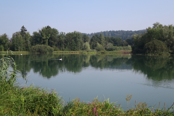 Chemin faisant en Argovie