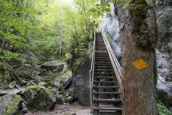 Über steile Stufen der Gorges de Perrefitte