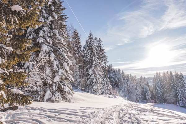 Wintermärchen in den Freiburger Voralpen