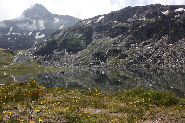 Nature à l’état pur