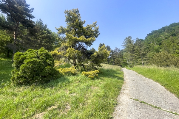 Par des chemins sinueux