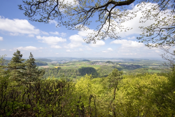 Im Land der Eulen am zürcherischen Irchel