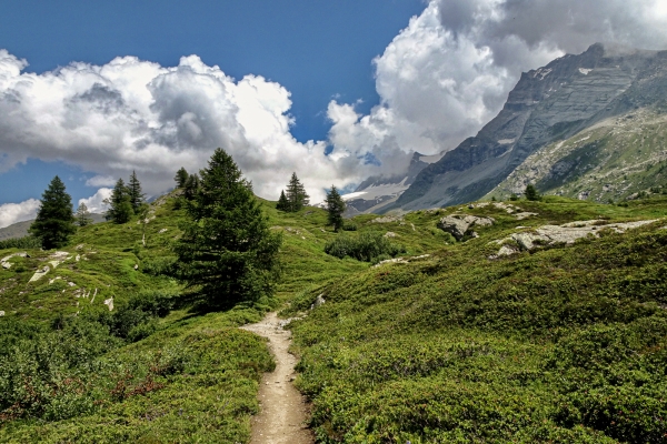 Unterwegs in der wilden Natur des Oberwallis