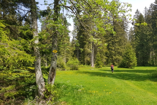 Kraftspender im Berner Jura