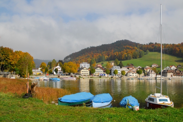 Sur les rives du lac de Joux