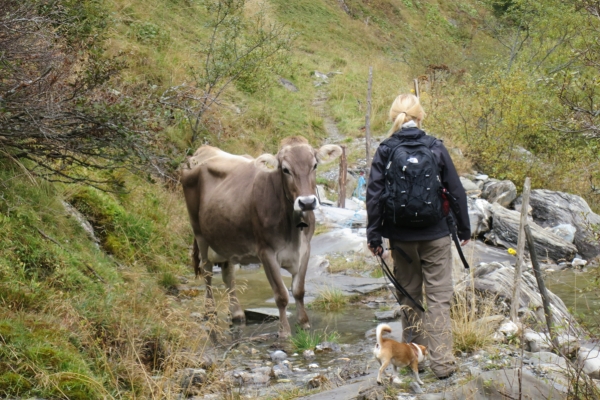 Auf dem Walserweg im Safiental