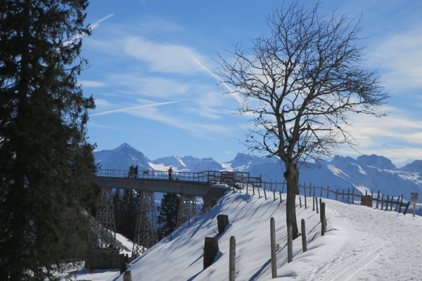 Le lac des Quatre-Cantons à ses pieds