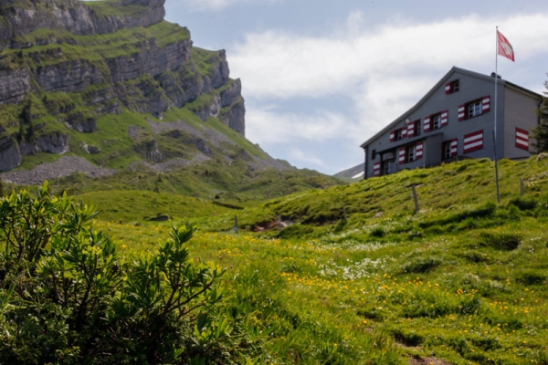 Fraîcheur estivale et lieux de pouvoir