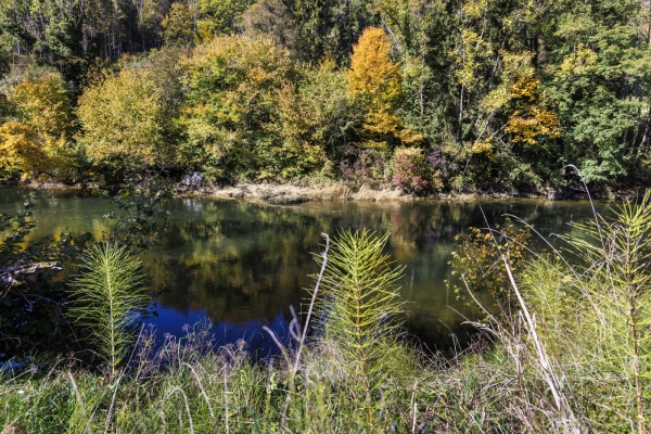 Impressionen in den Freibergen