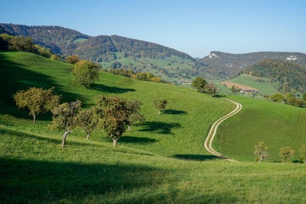 Le Welschgätterli, région jura soleurois