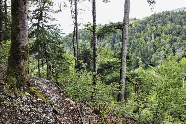 Un tracé pour le 40e du canton du Jura