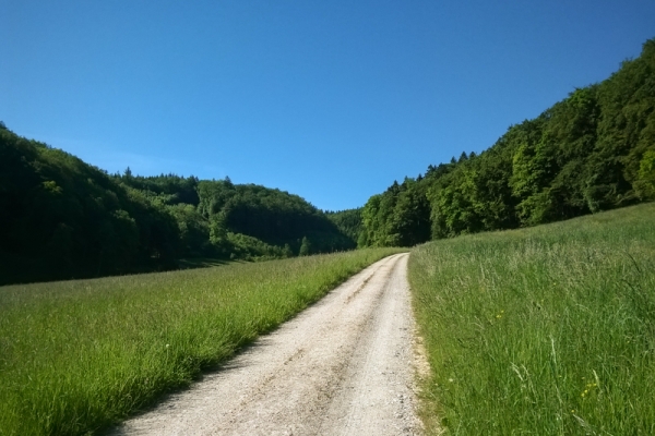 Wildes Kleinod am Wannenberg