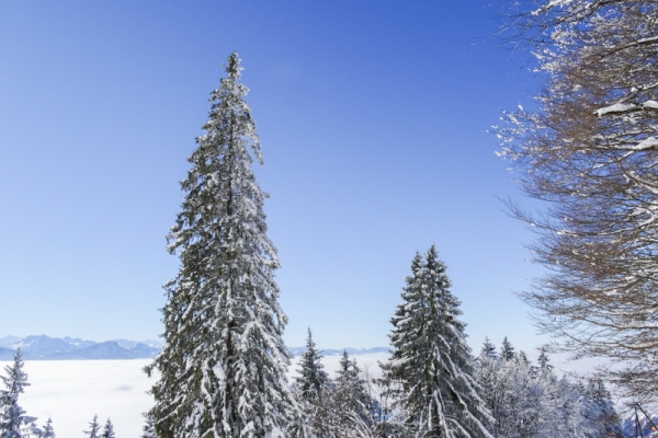 Toute la journée dans la neige 