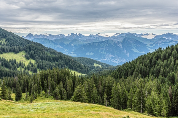 Sanfte Höhenwanderung