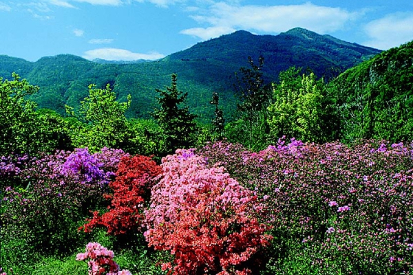 Le printemps à Tesserete