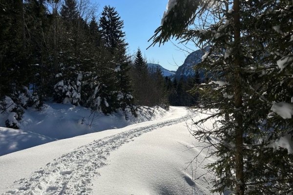 Schneeschuhwanderung Heiti - Meienalp