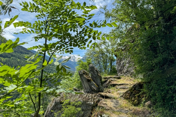 Selves de châtaigniers et pont suspendu