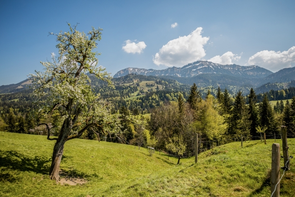 L’Entlebuch par champ, forêt et prairie