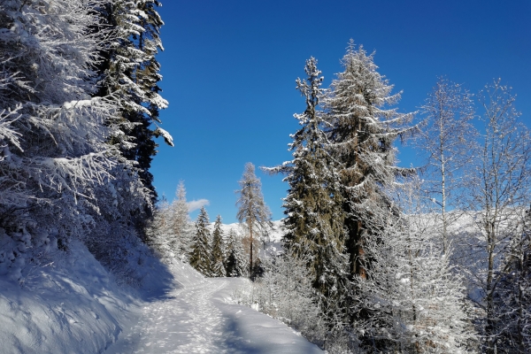 Schattenspiele im Val d’Anniviers