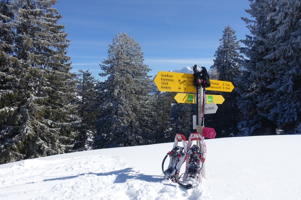 Sur la Gössigenhöchi, dans le Toggenbourg