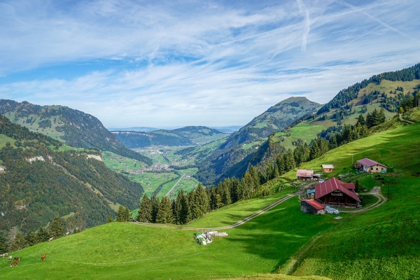 Am Wellenberg im Engelbergertal