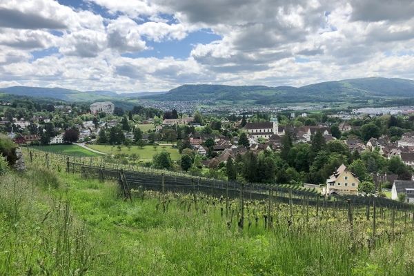 Les trois châteaux du district de Dorneck