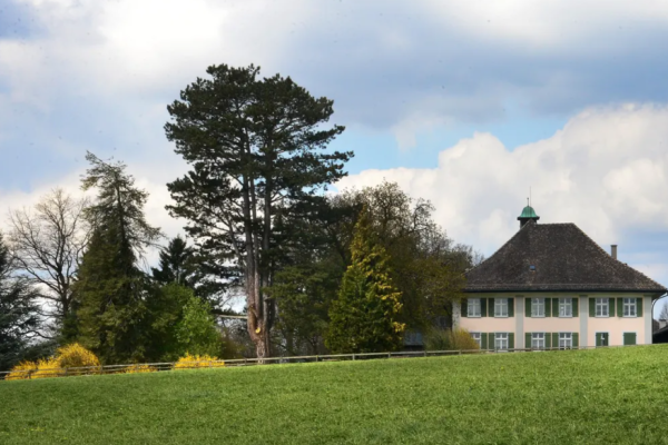 Von Seuzach nach Henggart