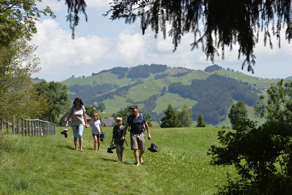 Barfuss- & Kutschenplausch am Kronberg