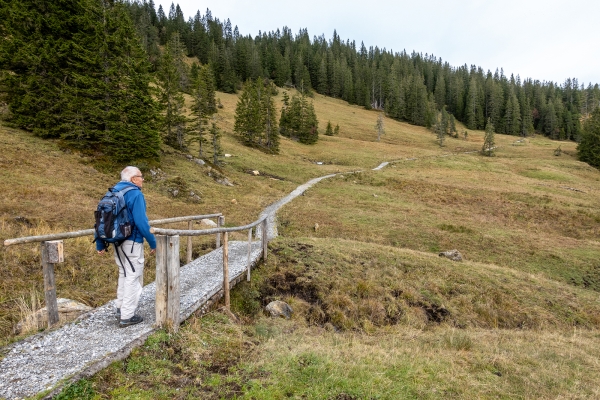 Sites marécageux au col du Glaubenbielen