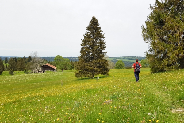 Kraftspender im Berner Jura