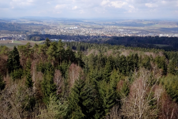 Nachmittagswanderung Frauenfeld