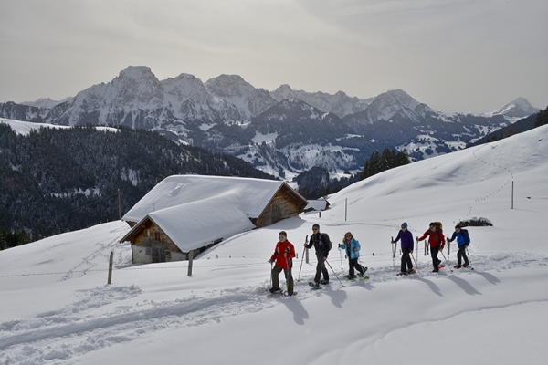 Ruhige Tour oberhalb von Rougemont