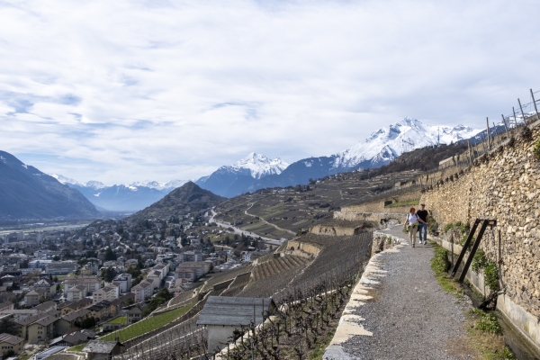 Le long du bisse de Clavau près de Sion