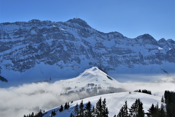 Hügeltour im Appenzellerland