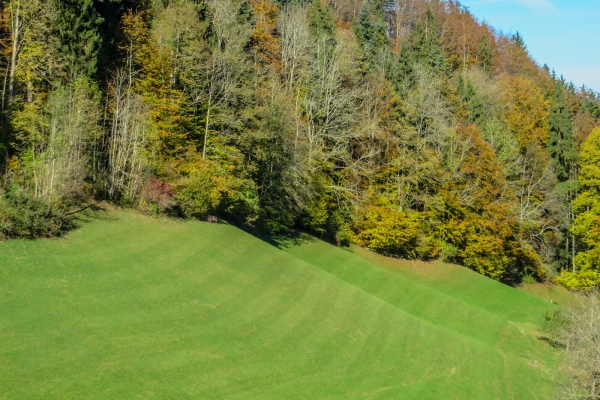 Vue sur le Säntis depuis le Neckertal