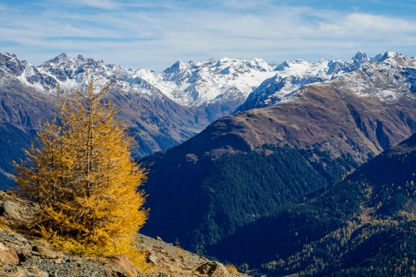 Hoch über Davos der Schatzalp entgegen