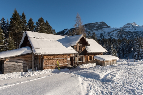 Ein Hauch von Arktis im Toggenburg