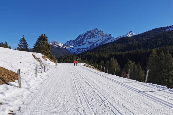 Soleil d’hiver dans le Chablais