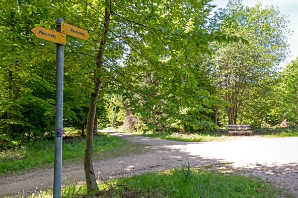 Bäumige Gemeinde Galmwald