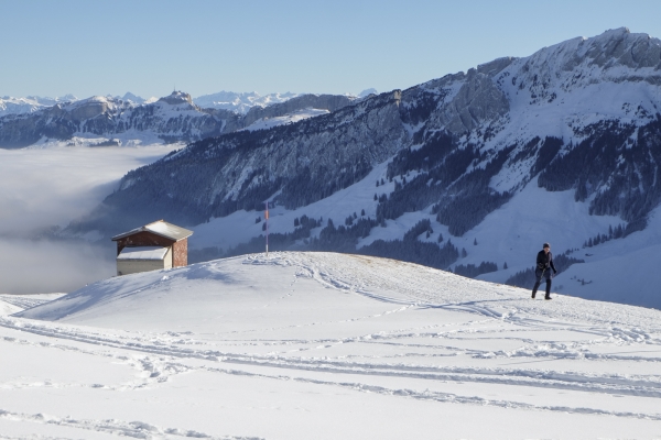 Le vaste panorama du Kronberg appenzellois