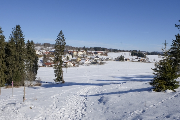 Les Franches-Montagnes en hiver 