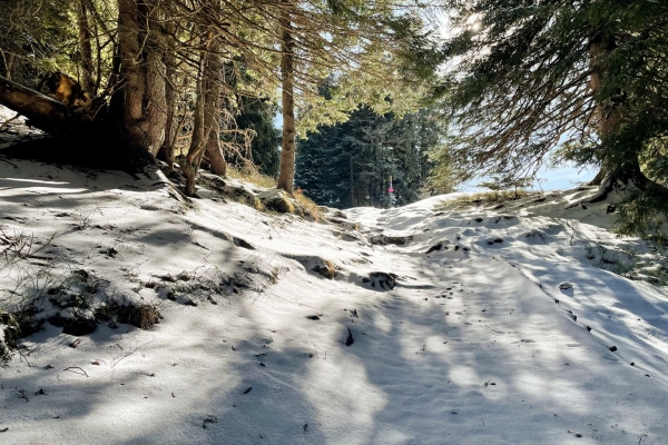 Bei den Haslizwergen im Winter