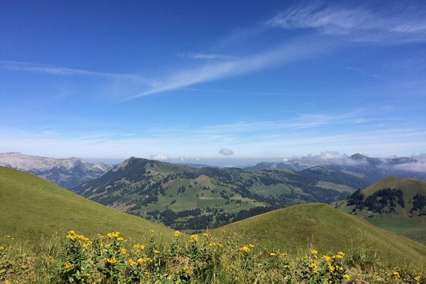 Le Brienzer Rothorn