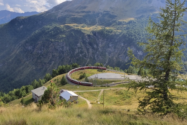 Per l’alpe Grum sul passo del Bernina