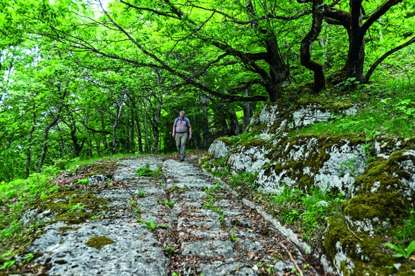 Auf dem Weg des Salzes II