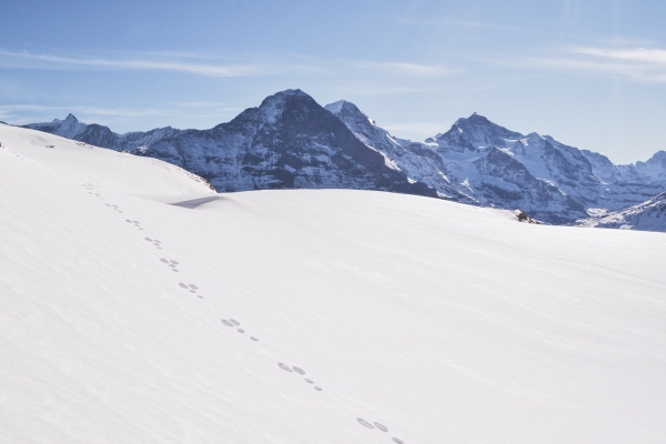 Winterwandern am Faulhorn